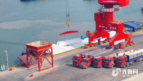 借力運河優勢，齊魯糧油媒體行聚焦江北現代糧食物流園——打造“北糧南運”高效大通道